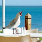 beach-landscape-sea-coast-water-nature-593359-pxhere.com-min