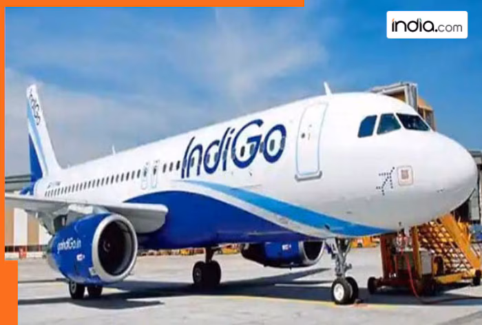 Months after IndiGo flight disruptions, company appoints William Walsh as new CEO