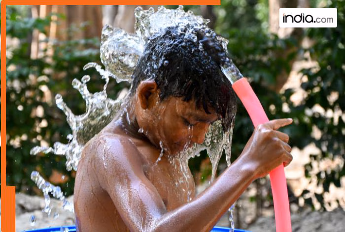 Delhi witnesses hottest day at 43 degrees on Monday; IMD issues Heatwave alert for THESE states, rain expected in…